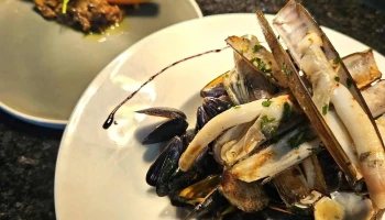 Au Comptoir de Cécile - 87230 Châlus