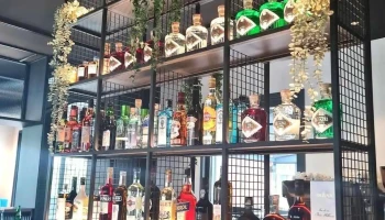 Brasserie Bayonne - Les Chenapans - Bayonne