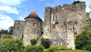 Château de Langoiran - 33550 Langoiran