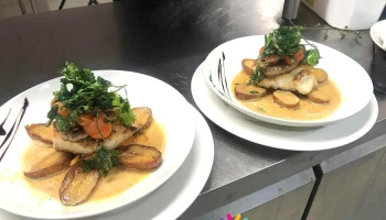 La brasserie des pins - France
