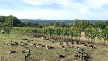 La Ferme de Grande Maison - Boulazac Isle Manoire