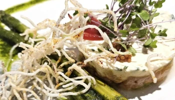 Le Saveur Vivre - Bordes