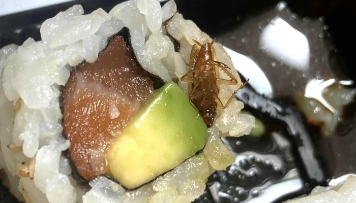 Ai Sushi -  Prix - Bergerac