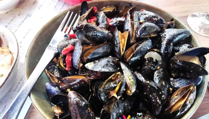 Bodega Chez Gilles -  Moule - Bayonne