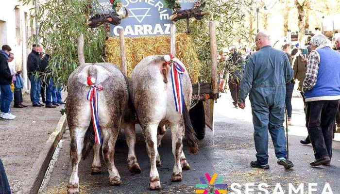 Boucherie Carraz -  Tout - Bazas