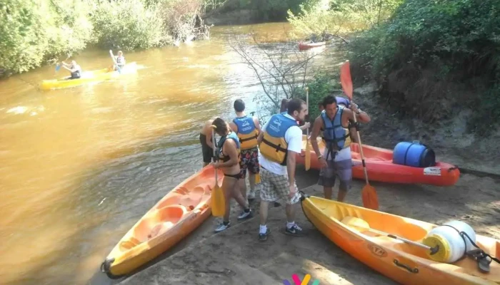 Canoe-kayak Courant D Eyre Location de canoë sur Leyre - Biganos