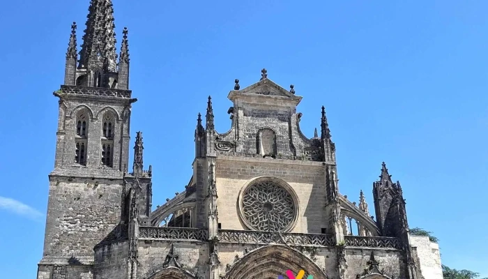 Cathedrale Saint Jean Baptiste Les Plus Recentes - Bazas