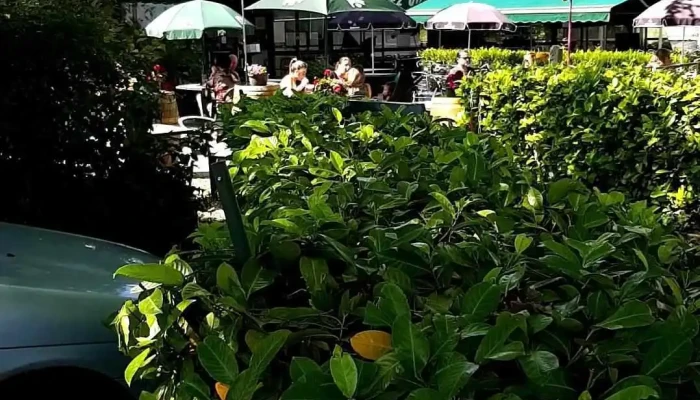 Chez Quinquin -  Videos - Macau