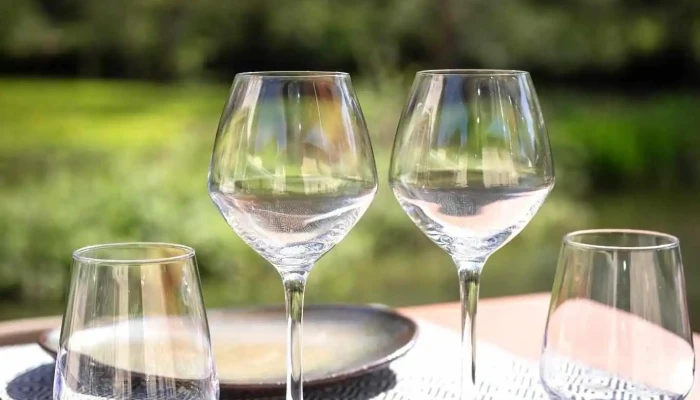 Grill Du Moulin -  Plats Et Boissons - Azay-le-brûlé