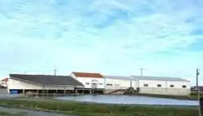 Huîtres Breuil - Marennes Oléron - Bourcefranc-Le-Chapus