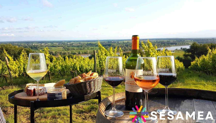 La cabane dans les vignes - 33550 Tabanac