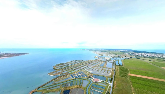 La Cabane De Lhuitre Du Saunier Street View Et 360deg - La Couarde-sur-mer