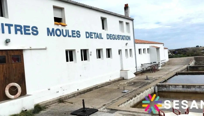 La Rhetaise Tout - La Couarde-sur-mer