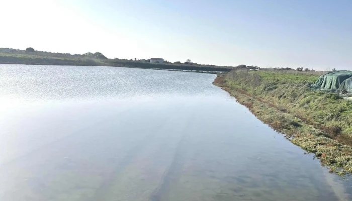 La Rhetaise Videos - La Couarde-sur-mer