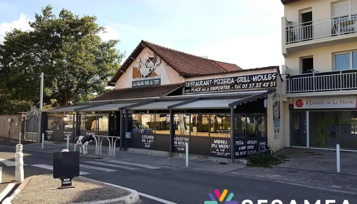 La Vache sur le Toit - 33470 Gujan-Mestras