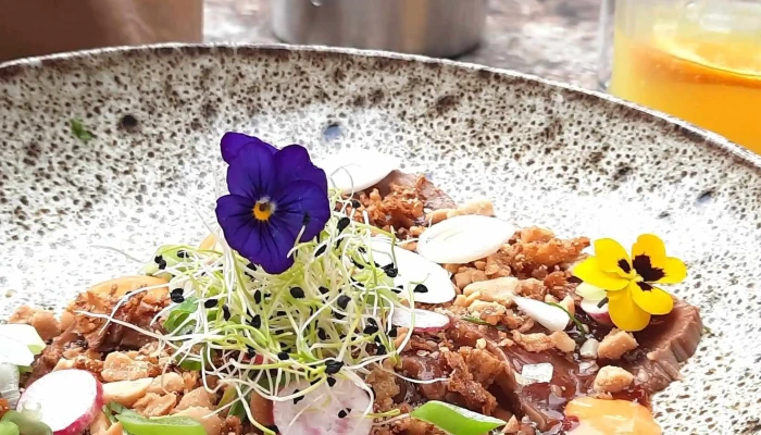 Le Chat Lent -  Restaurant - Arès