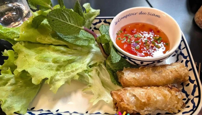 Le Comptoir Du Siam -  Rouleau De Printemps - Niort