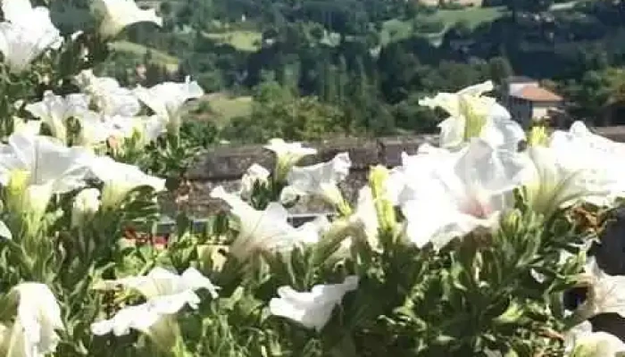 Le Parfum Des Mets -  Photos Du Proprietaire - Pays De Belvès