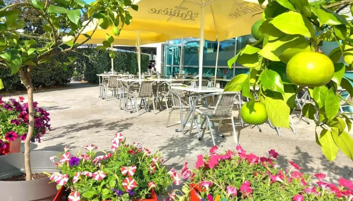 Le Patio -  Photos Du Proprietaire - Azay-le-brûlé