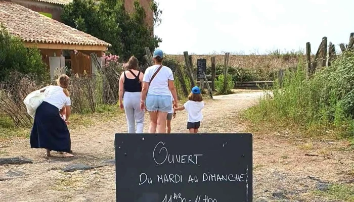 Les Huîtres de Trousse Chemise - Les Portes-En-Ré