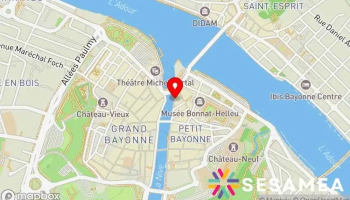 Mona Lisa Bayonne -  Carte - Bayonne