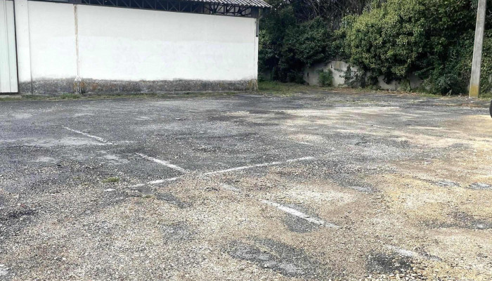 Parking -  Opinions - Bazas