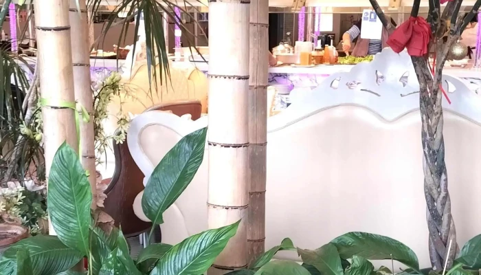 Restaurant Buffet A Volonte Chinois -  Opinions - Lons