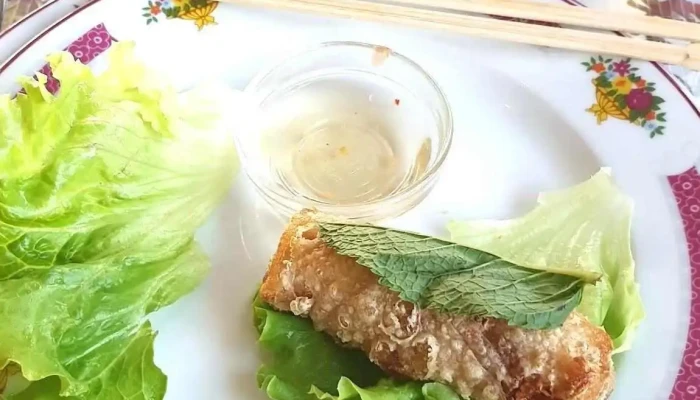 Restaurant Le Dynastie -  Rouleau De Printemps - Agen