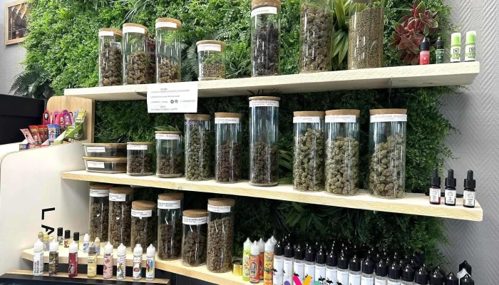 Tabac Presse De Bazas -    Cafe Cave A Cigares Vape Cbd Souvenirs Carterie Interieur - Bazas