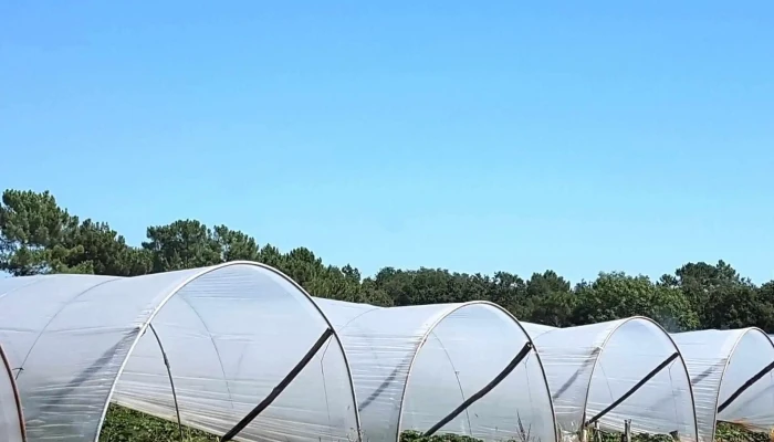 Vente A La Ferme Teillet Numero - Boulazac Isle Manoire
