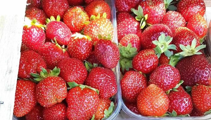 Vente A La Ferme Teillet Reductions - Boulazac Isle Manoire